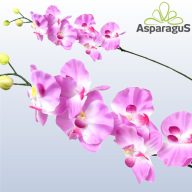 ORCHIDEA 60CM/ VILÁGOS LILA ***