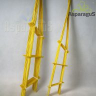 VIRÁG TÁMASZ (LÉTRA)13CMX77CM/ CITROM (10DB/ CS)***