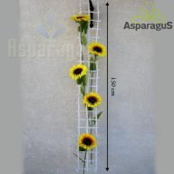 DEKORÁCIÓS HÁLÓ 150CMX20CM/ FEHÉR