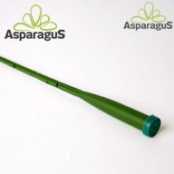 FIOLA BETŰZŐS 28CM (10DB/CS)