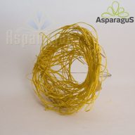 RATTAN CSOKORALAP/ CITROM