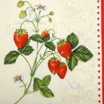 Általános szalvéták