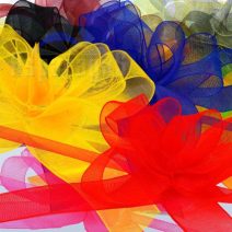 Organza gyorsmasnik