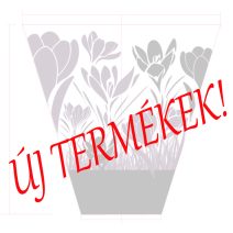 Újdonságok